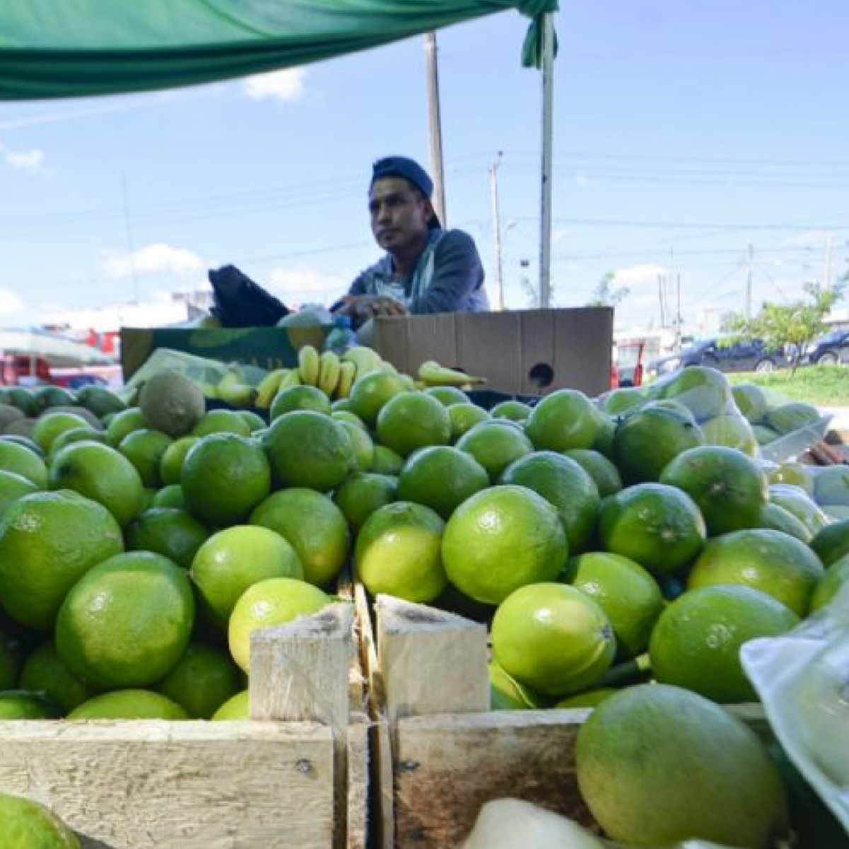 Aumenta El Precio Del Kilo Del Lim N En Canc N Alcanza Los Pesos