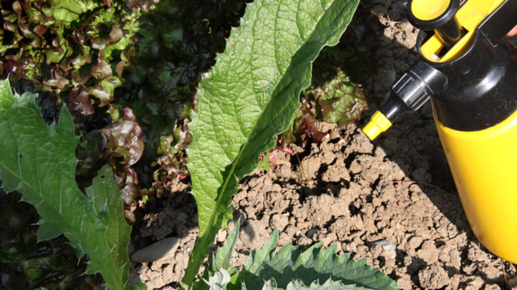 Spinetoram Spinetoram