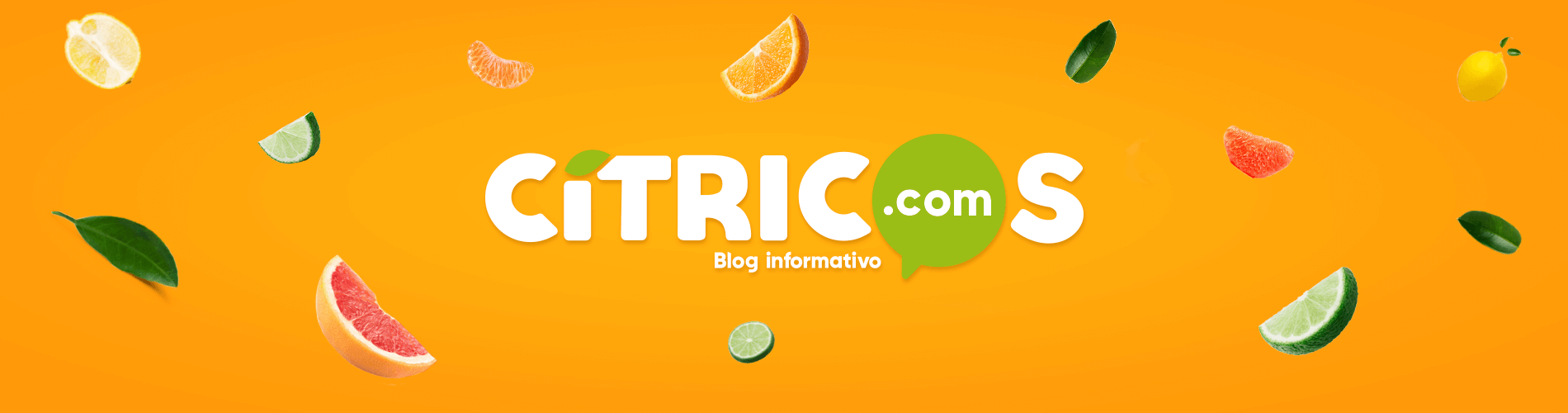 slide-web-movil-citricos-1