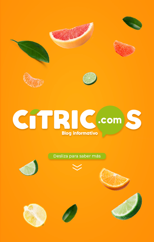 slide-web-movil-citricos-vertical-2