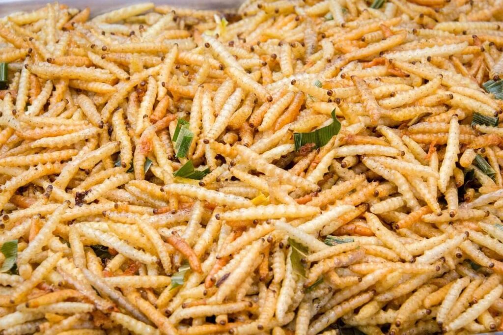 El secreto de las granjas de insectos en citricultura worms