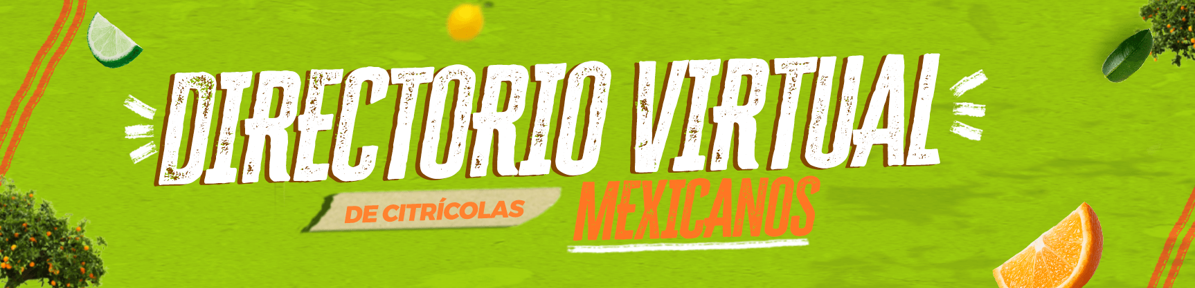 banner-citricos-directorio-virtual