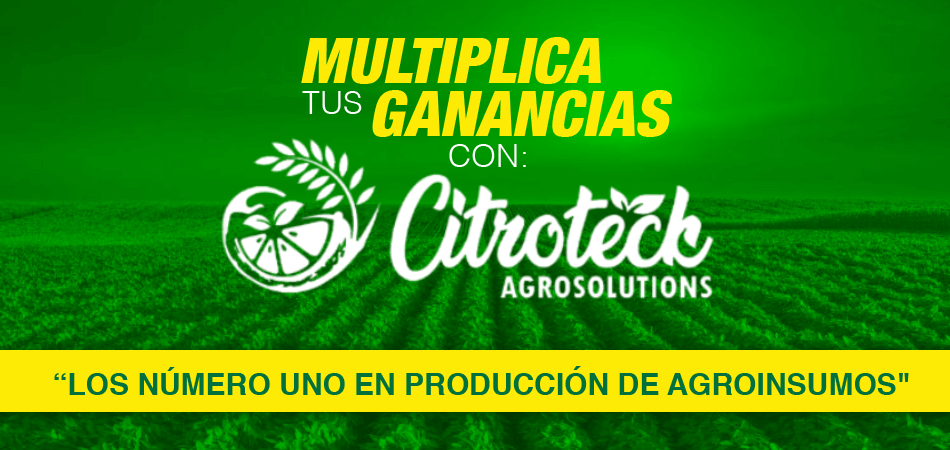 banner-citroteck-950-x-450
