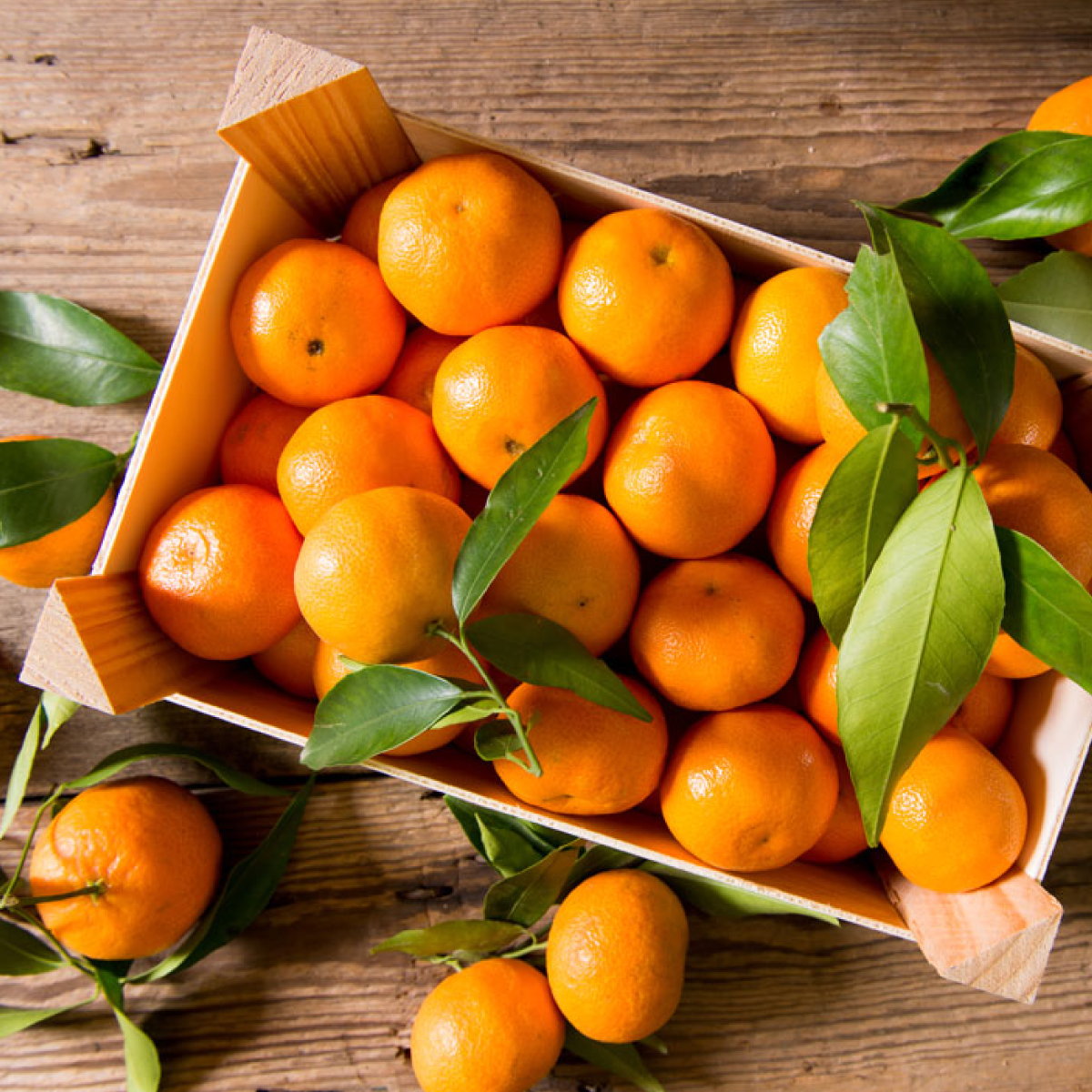 El otoño huele a mandarina Citricos