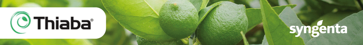 Banner-1200x150_SYNGENTA-THIABA