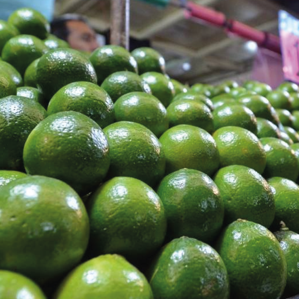 Lima de Yucatán se vende hasta en 90 pesos el kilo; supera el precio del limón