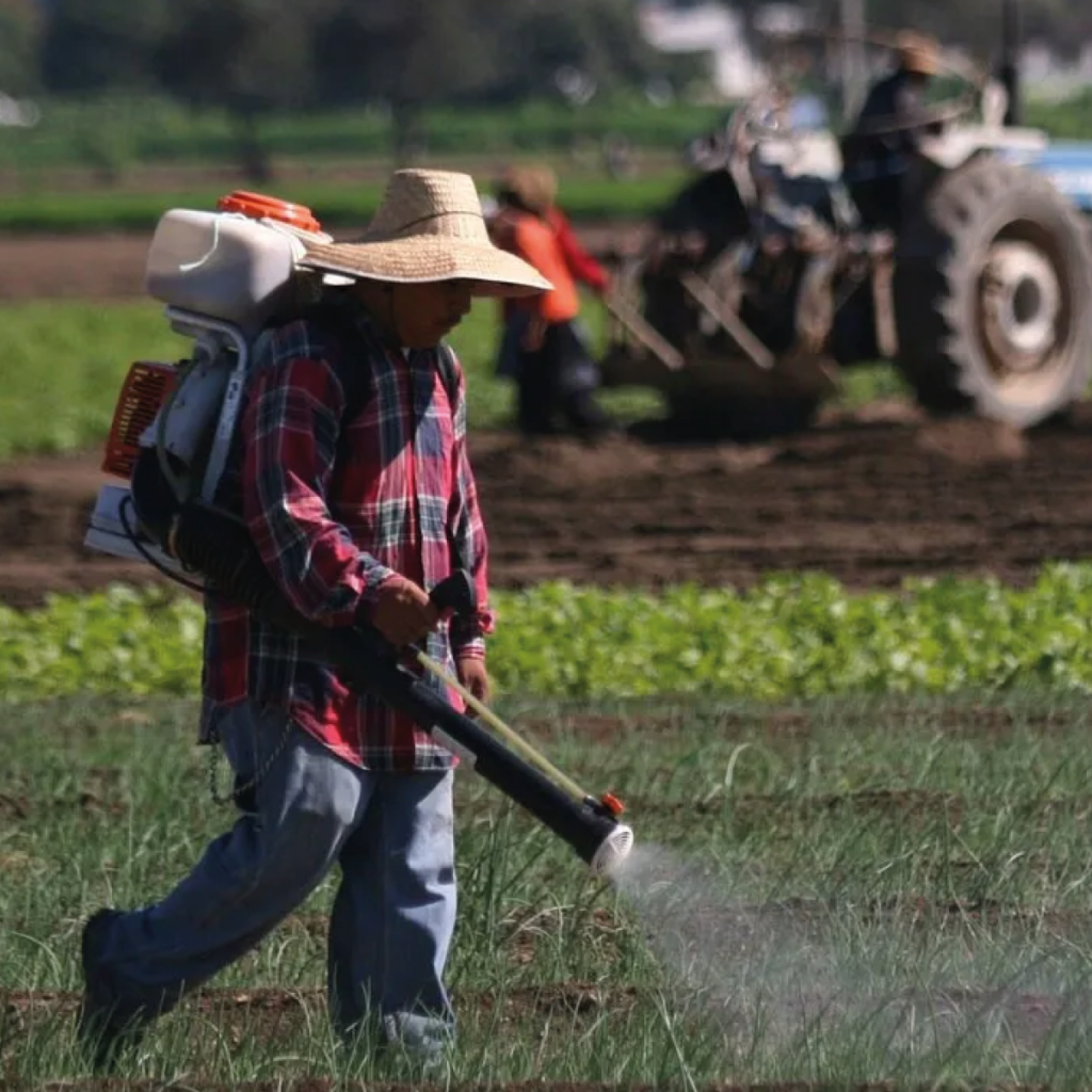Bajo el concepto de Agricultura 8.0, se pueden eliminar los agroquímicos en la producción