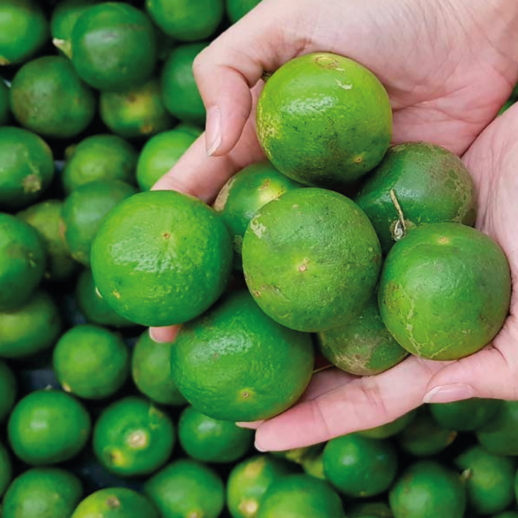 Precio de limón se dispara, naranja y toronja a la baja