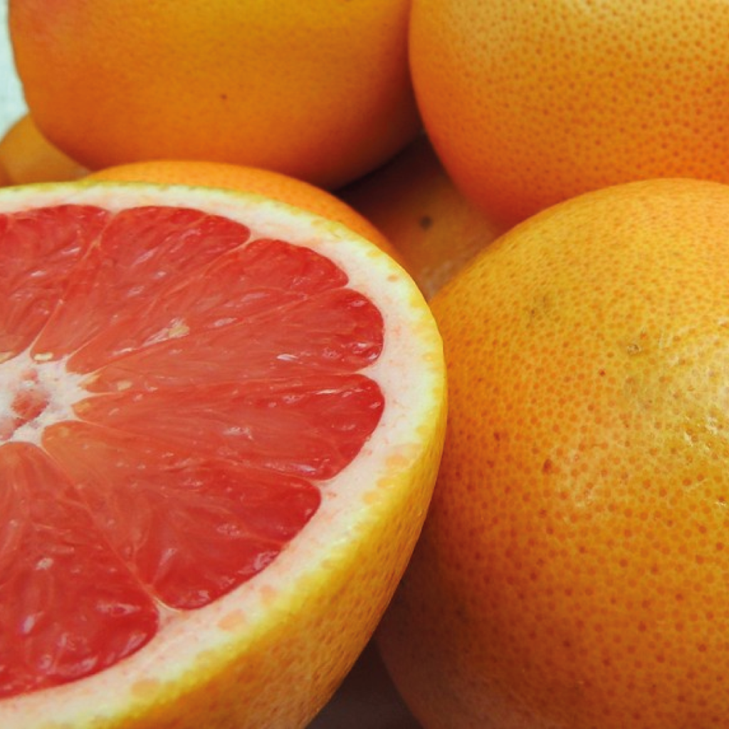 Mercado mundial y comercio de la toronja/pomelo
