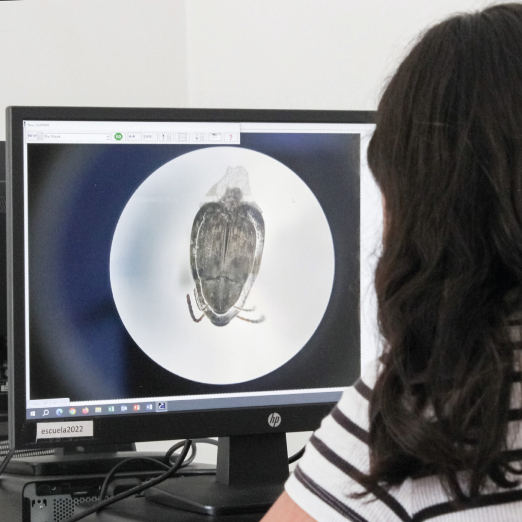 Operan programa piloto para agilizar identificación de plagas vegetales